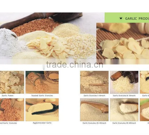 ISO BRC HACCP OU Direct Supplier Dehydrated Garlic Granules photo-5
