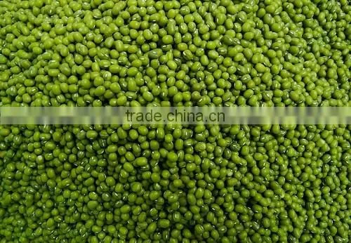 Hot Split Dried Green Mung Bean From Viet Nam Good Packaging