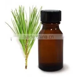 100% Original Quality Pine Sylvestris Oil photo-5