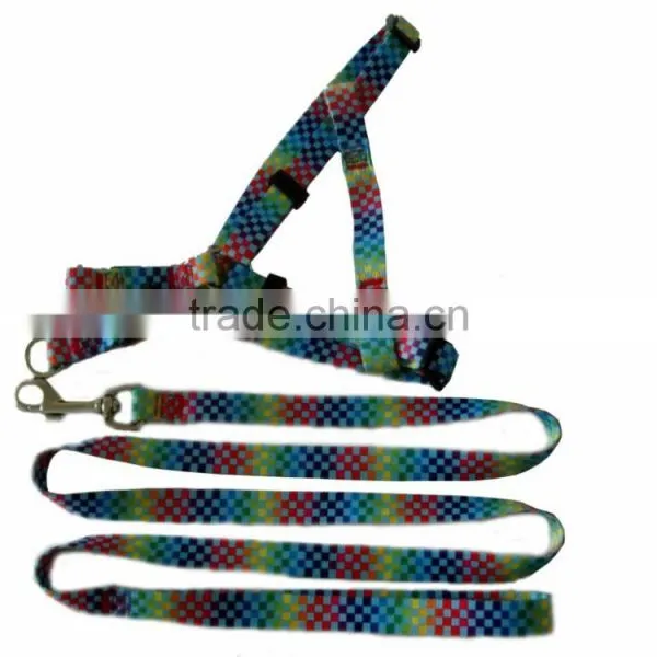 Rainbow Pet Products / Pet Dog Leashes and Collars photo-2