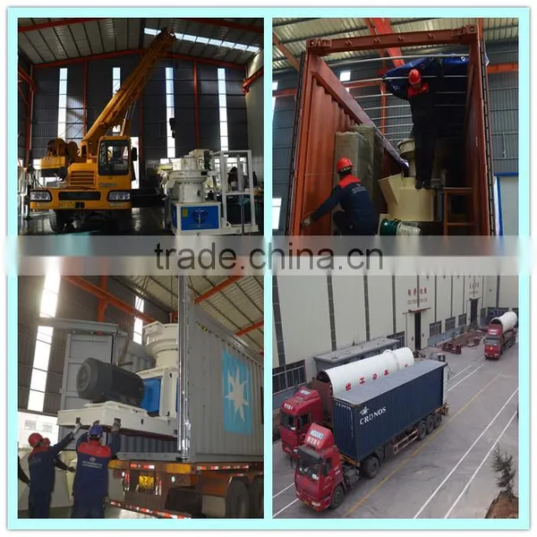 Malaysia Palm Kernel Shell Wood Pellet Making Machine Price photo-3