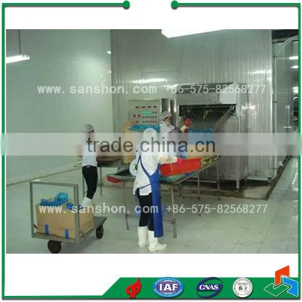 IQF Blast Freezing Vegetable Freezing Machine Quick Freezer photo-3