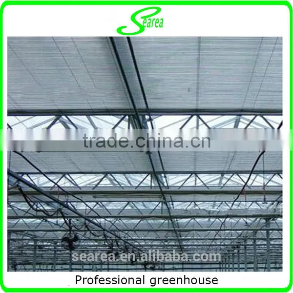 Multi Span Vegetable Greenhouse for Sale photo-4