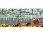 Galvanized Steel Frame Greenhouse for Flowers photo-2