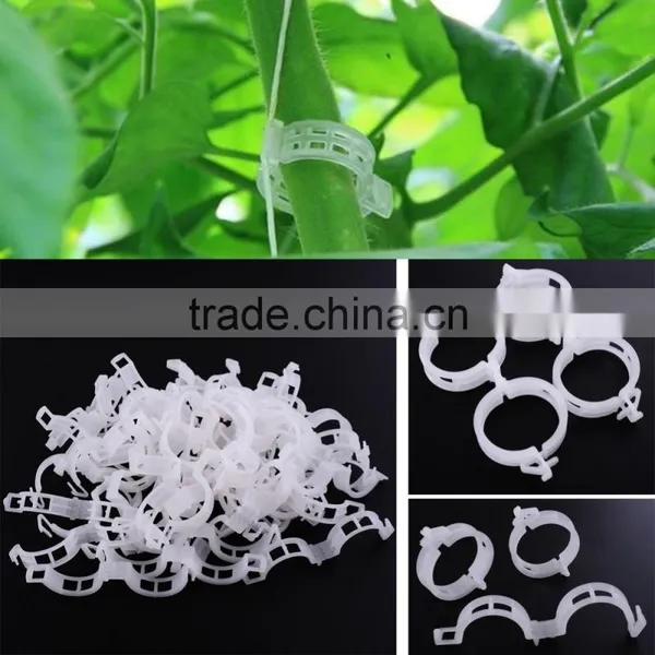Hot Selling Clips for Tomatoes Plastic Clamps photo-5