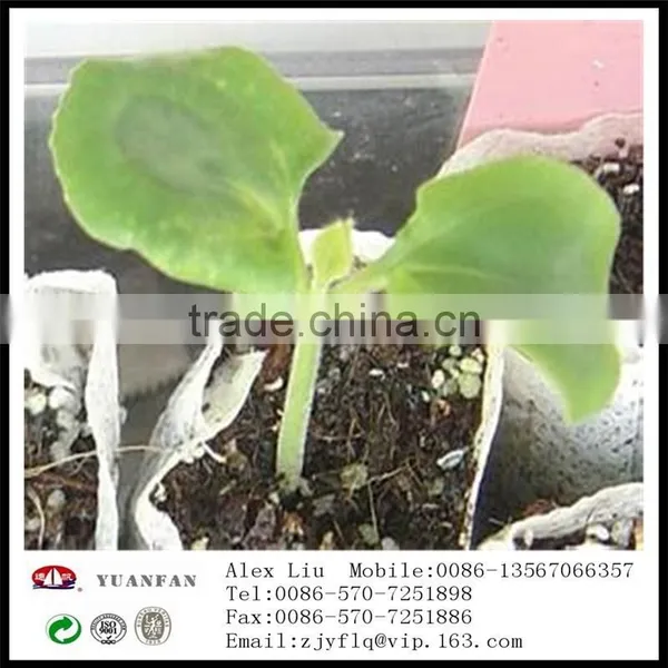 Landscape Gardening pp Nonwoven Fabrics Used To Protect the Plant Roots photo-6