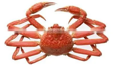 Snow Crab Legs photo-4