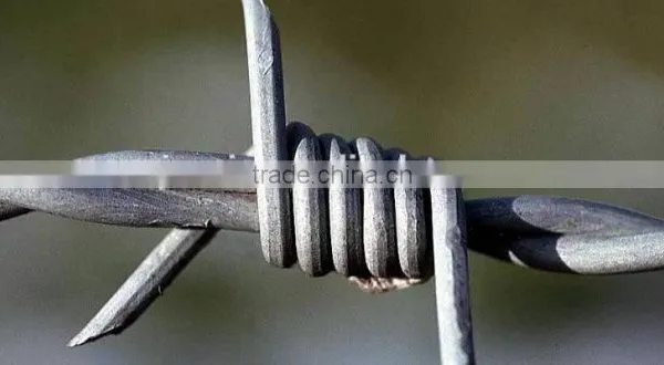 Barbed Iron Wire in Hebei Province photo-2