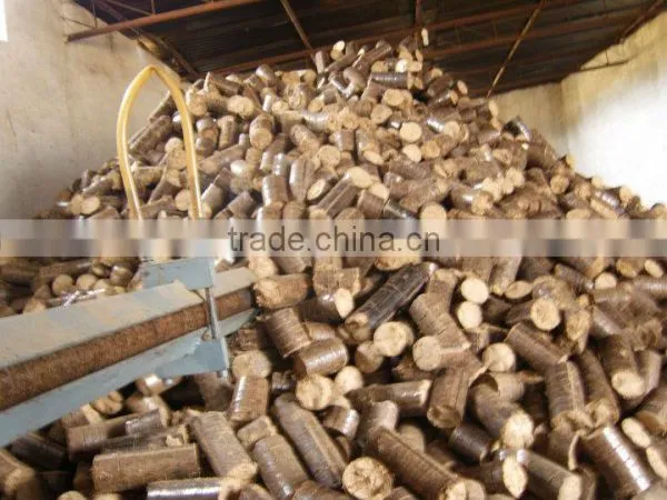 Palm Fiber Briquette photo-2