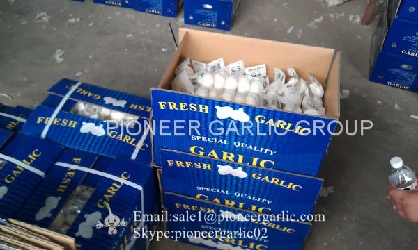 5-5.5cm Fresh Normal White Garlic In 10kg Carton Box Packing photo-5