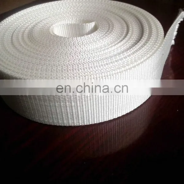 High Strength Eco-friendly Polyester Webbing Tape photo-6