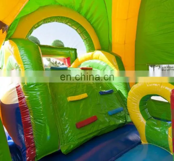 HI Hot Sale!! Animal Themed Inflatable Long Water Slide, Grass Pool Bouncer Sldie photo-6