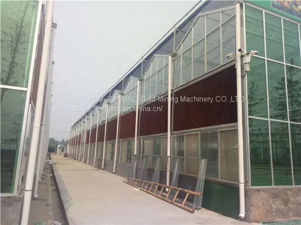 Multi Span Glass Greenhouse for Planting photo-4
