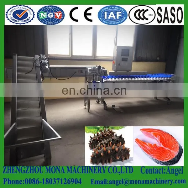 Factory Sales Mango Orange Waxing and Grading Machine , Weight Sorting Machine photo-4