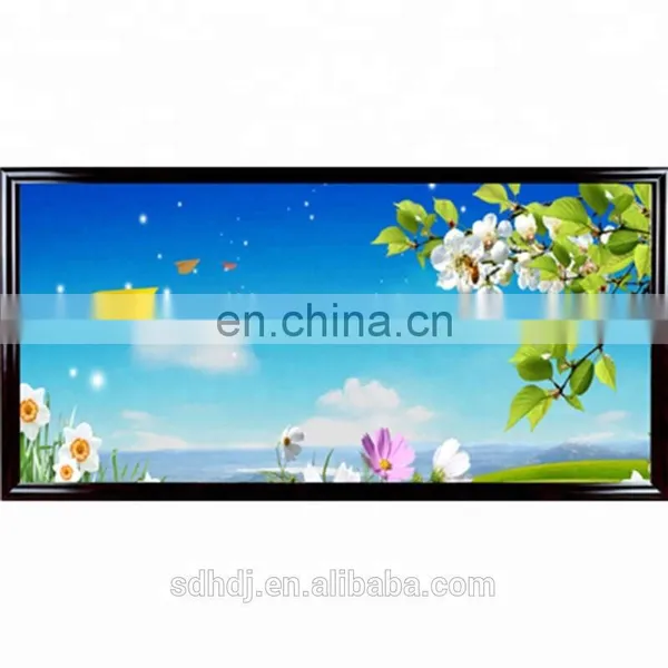 Duolang Wall Mount Infrared Panel Carbon Crystal Infrared Heater Painting Heater 800w photo-3