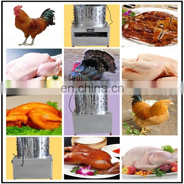 High Quality Chicken Plucker Machine / Poultry Cleaning Machine / Chicken Defeather Plucker Machine of Slaughtering Equipment photo-6