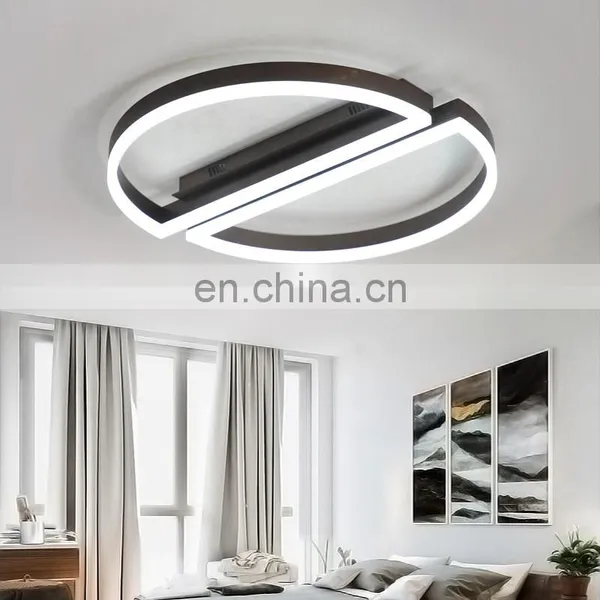 Fashion Simple Round Restaurant Lighting Led Ceiling Light for Living Room photo-3