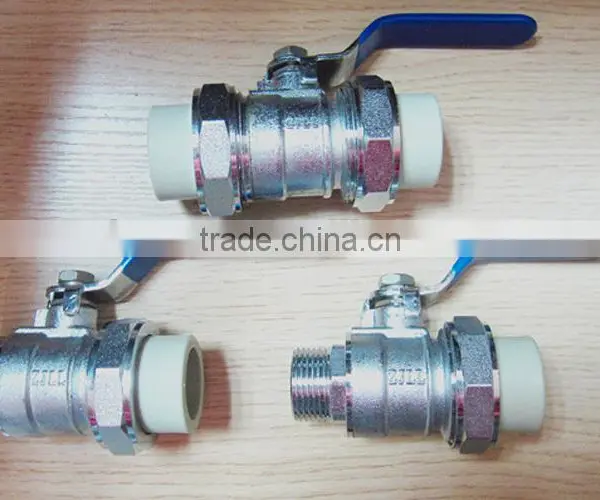 Ppr Brass Gate Valve for Ppr Piping photo-4