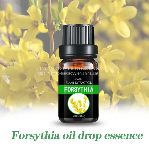 Forsythia Oil Aromatherapy Essential Oil Pure Natural Fragrance Oil photo-2