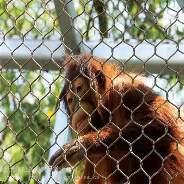 Filet métallique en acier inoxydable haute résistance pour volière et zoo