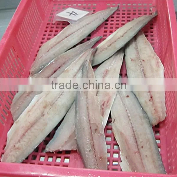 Spanish Mackerel Fillet and Scomberomorus Niphonius photo-5