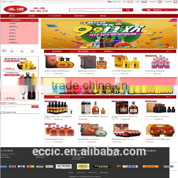 First-class Ecommerce Website Designer Website Designer and Website Designer photo-2