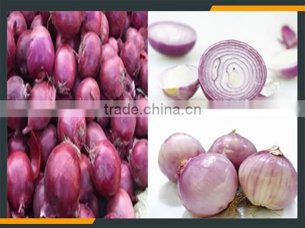 Onion Peeling Machine photo-2
