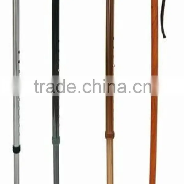 Walking Stick photo-4