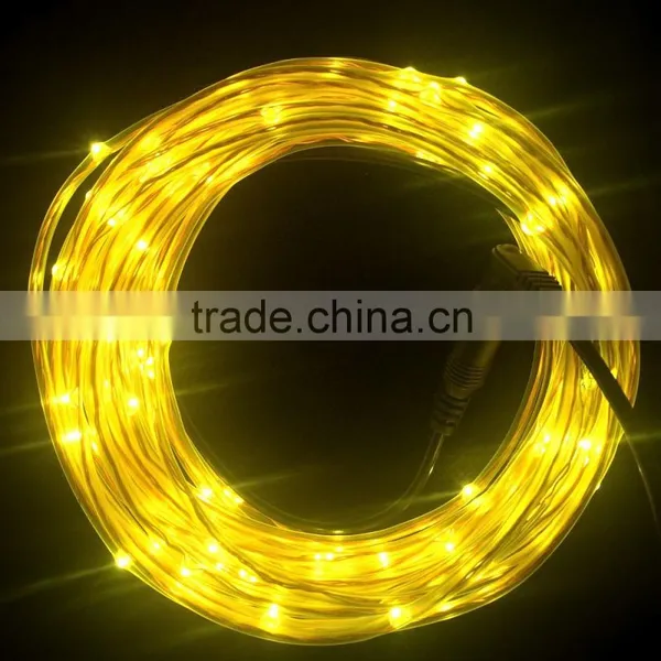 2 Year Warranty 12 v Outdoor Led String Lighting photo-6