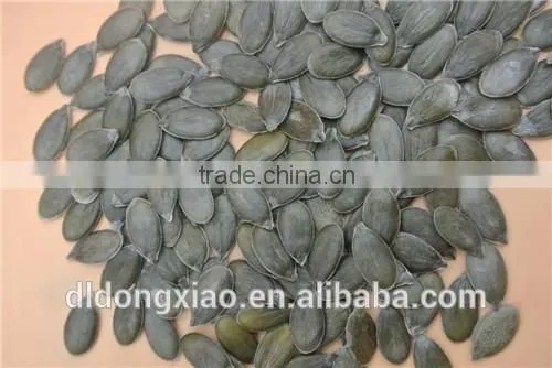 GWS Pumpkin Kernels Raw Cashew Nut Wholesale photo-4