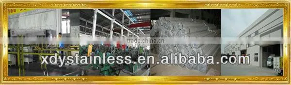 Stainless Steel Nozzle Pipe