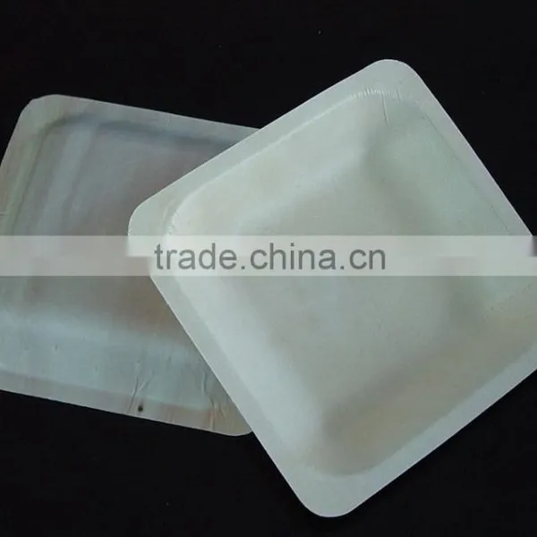 Disposable Round Plate photo-3