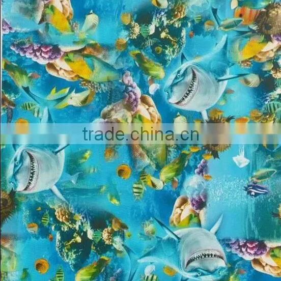 50cm Wide Blank Water Transfer Printing Film RYC-204 photo-4