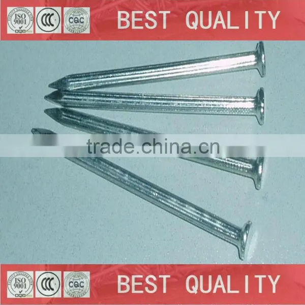 Good Quality Electro Galvanized White Common Iron Nail