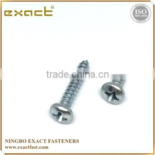 Philips Pan Head Screws Self Tapping Screw Tapping Screw Screw Din7981 photo-5