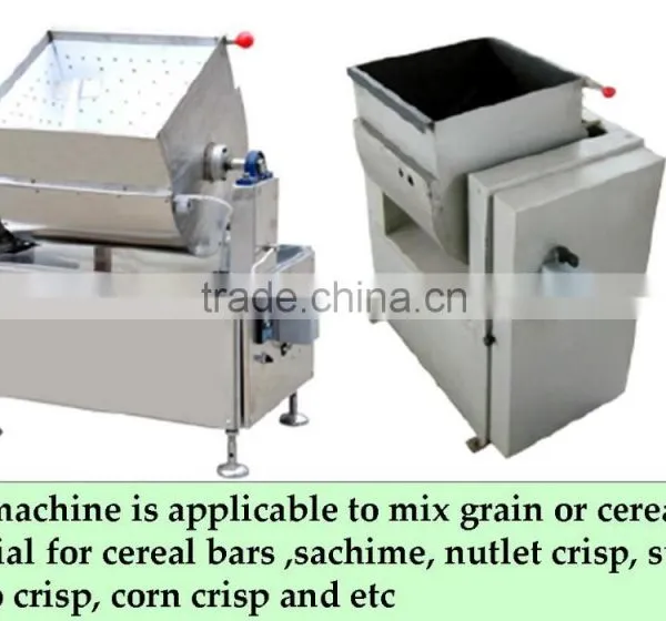 a Mini Mixer Blender or Large Commercial Blender