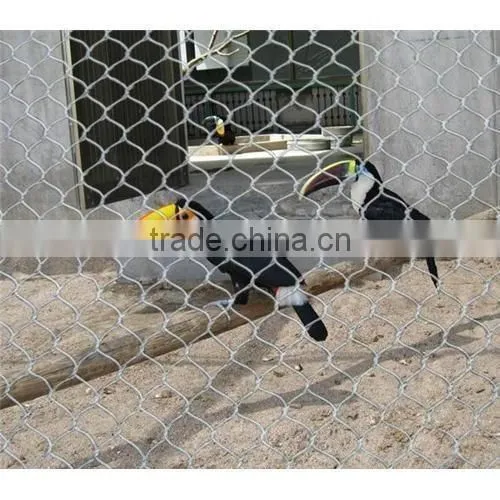Galvanized, Pvc Coated Hexagonal Wire Mesh, Chicken Mesh Fence, Twisted Mesh photo-6