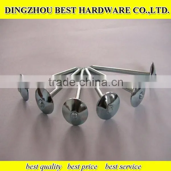 Twist Shank Roofing Nail photo-4