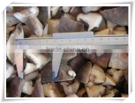 Famous Brand in China /popular Food/ China Frozen Food Mushroom photo-2