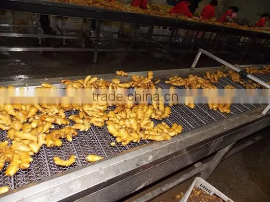 2016crop Air Dried Ginger Price photo-3