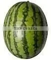 Watermelon Natural Powder