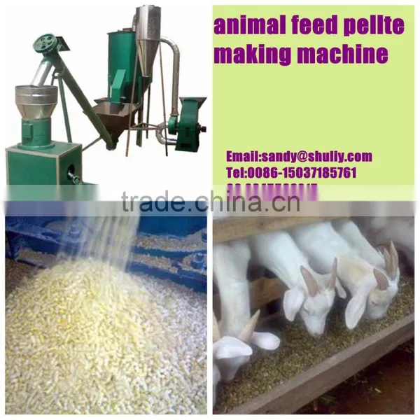 Small Capacity Poultry Feed Pellet Making Machine photo-6