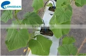 High Density 100kg/m 3 Non-asbestos 1" Cubes for Hydroponics for Lettuce photo-3