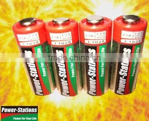 12V Alkaline Battery