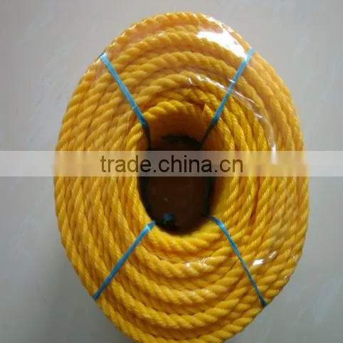 PE Fishing Rope, PP/PE Colorful Rope photo-6