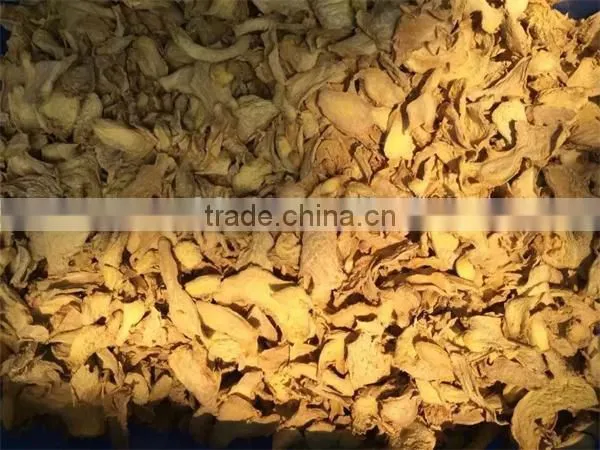 Industrial Fruit Tray Dryer/ginger Drying Machine/ginger Dryer photo-3