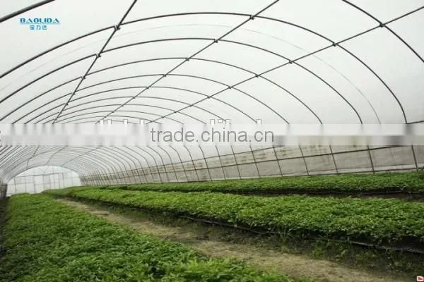 Baolida Single Span Green House photo-2