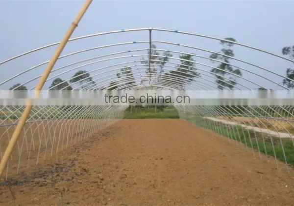 Small Size and PE Material Low Cost Greenhouse photo-4