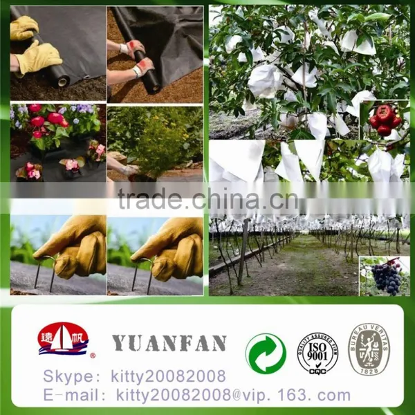 China Polypropylene Nonwoven Fabric , Weed Control, Grape Cover photo-2