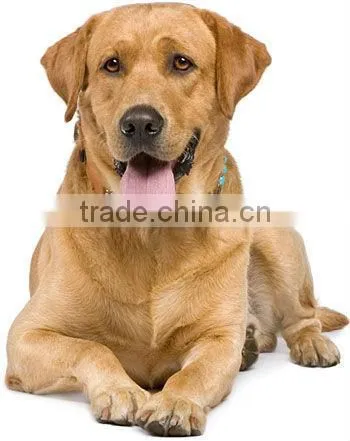Natural Private Label Dog Food photo-6